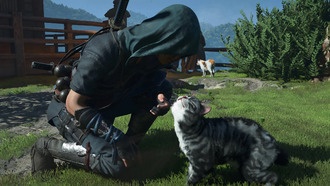 Разработчик Ubisoft поместил своего кота в Assassin's Creed Shadows