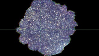 «Скрытые галактики» могут оказаться неопровержимым доказательством в загадке Вселенной