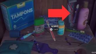 Места расположения зубных щеток и журналов Осени в Lost Records: Bloom & Rage