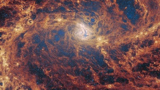 Уэбб замечает признаки черной дыры в центре близлежащей галактики M83