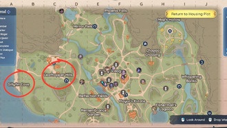 Как найти и поймать Золотую Славную Пчелу в Палии