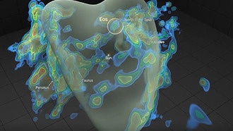 Огромное молекулярное облако, долгое время невидимое, обнаружено вблизи нашей солнечной системы
