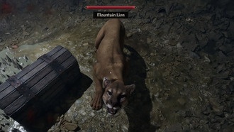 Как получить шкуру льва в Oblivion Remastered