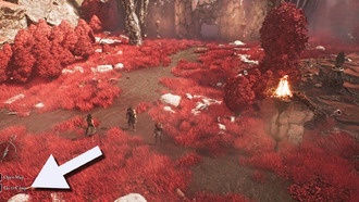 Как добраться до лагеря в Clair Obscur: Экспедиция 33