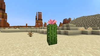 Как получить и использовать цветы кактуса в Minecraft