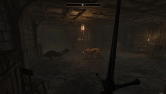 Oblivion Remastered: Стоит ли говорить Арвене Телас правду?