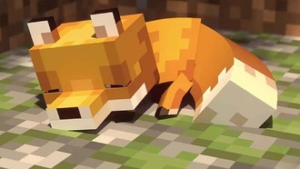 Как показать свои координаты Minecraft