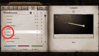 Ошибки и уязвимости в Oblivion Remastered