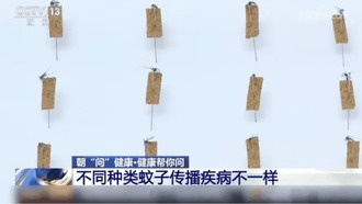 Сезон комаров и клещей: как защититься от опасных насекомых