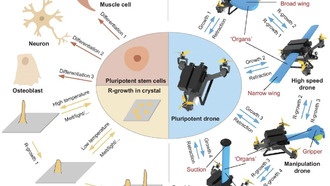 Ученые создали дронов с «регенерацией» и сменными модулями по аналогии со стволовыми клетками