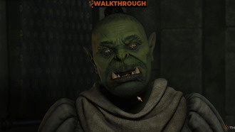 Стоит ли убивать Бишу в Oblivion Remastered?