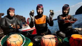 Женщины-ныряльщицы с острова Чеджу эволюционировали для жизни в холодной воде