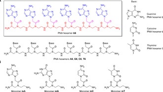 Молекула, подобная ДНК, может выжить в облаках Венеры