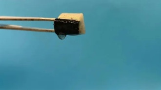 Умная губка добывает воду из воздуха: разработка китайских и австралийских ученых