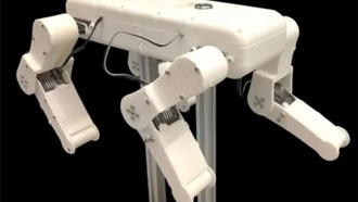 Китайские ученые создали робота-собаку с функцией плавания