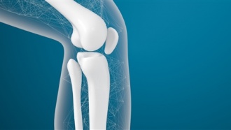 Правда ли, что переломы заживают 100 дней? Врачи объясняют