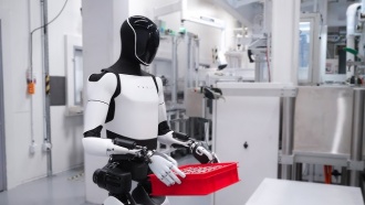 Tesla готовится к выпуску робота-помощника Optimus: подана заявка на товарный знак