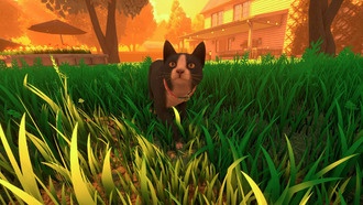 Игра про кота Copycat выйдет на PS5 и Xbox Series 29 мая