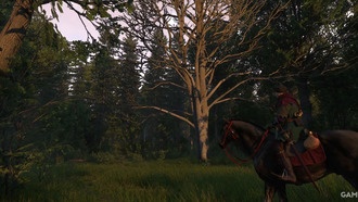 Kingdom Come: Deliverance 2 - Где найти могилу в God Disposes