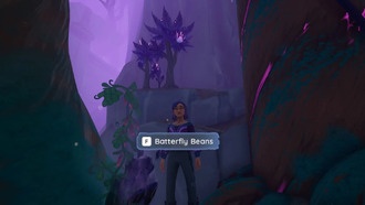 Где найти бобы Баттерфляй в Палии