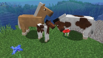 Как найти, приручить, оседлать и развести лошадей в Minecraft