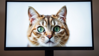 Рейтинг лучших мониторов 2025