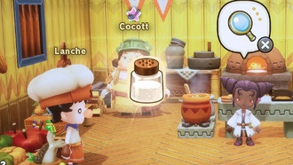 Где взять соль в FANTASY LIFE i