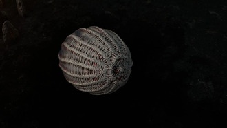 Tainted Grail: Fall of Avalon - Местоположение квестового Яйца Зверя