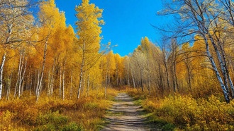 Как меняются весна и осень в разных регионах?