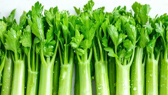 Сельдерей: развод или реальная польза?