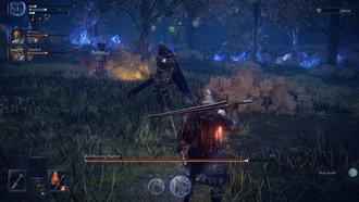 Как увеличить количество зарядов лечебных фляг в Elden Ring Nightreign