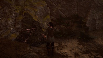 Лучший билд Разбойника в Tainted Grail: The Fall of Avalon — гайд по характеристикам, перкам и экипировке