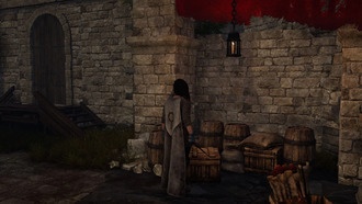 Как получить больше отмычек в Tainted Grail: The Fall Of Avalon