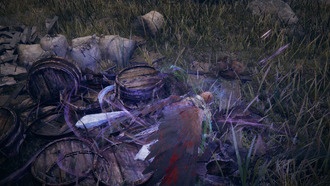 Elden Ring Nightreign: как вернуть потерянные Руны