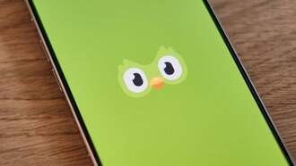 Гендиректор Duolingo заявил, что не рассматривает ИИ как замену сотрудникам, несмотря на массовые увольнения