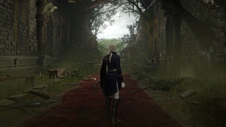 Elden Ring Nightreign: как работает пассивное увеличение шкалы Высшего искусства