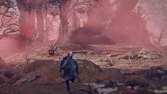 Elden Ring Nightreign: как найти секрет Сгнивших лесов