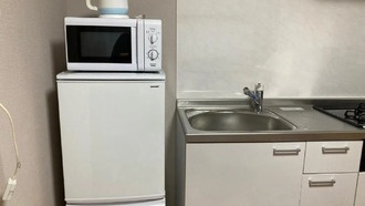 Почему в Японии холодильники такие узкие?