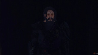 Стоит ли поддерживать Руна в Tainted Grail: Fall of Avalon?