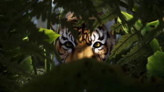 Разработчики Rust изменили механику добычи ресурсов из-за слишком густых джунглей