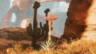 Где найти семена агавы в Dune: Awakening