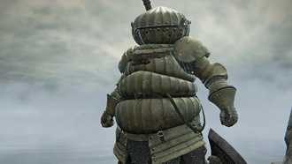 Сравнение скинов Dark Souls в Elden Ring Nightreign показало их значительное улучшение