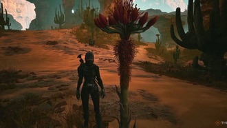 Где найти семена агавы в Dune: Awakening