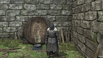 Elden Ring Nightreign: все предметы в Вывеске коллекционера и их стоимость