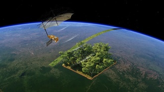 Спутник Biomass передал первые впечатляющие снимки лесов и других объектов Земли