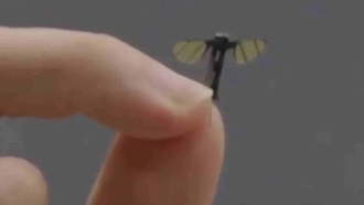 Китайские военные разработали мини-дрон размером с комара для разведывательных миссий