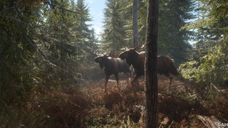 Все достижения в theHunter: Call of the Wild — полный список