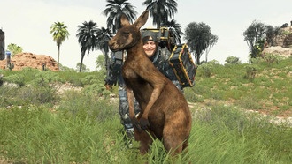 Как ловить и доставлять животных в Death Stranding 2