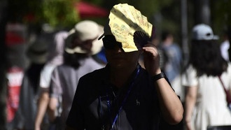 Аномальная жара в Европе угрожает урожаю и энергосистемам