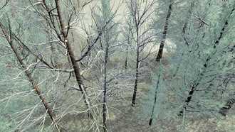 Исследователи создали алгоритм для генерации 36 ГБ растительности из 52 КБ данных